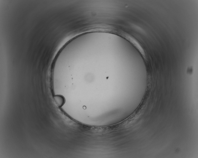 X0000089451099200707131922