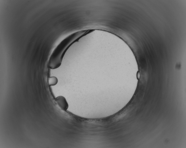 X0000089451102200707131922