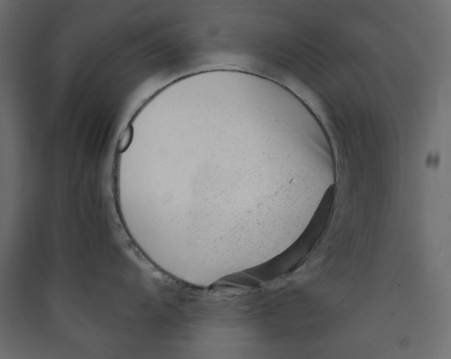 X0000089451104200707131921