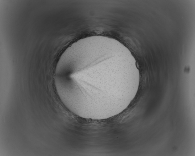 X0000089451105200707131921