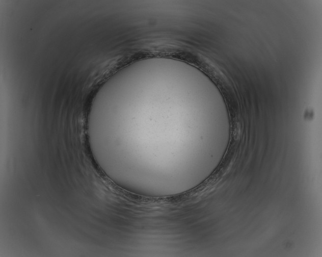 X0000089451108200707131921