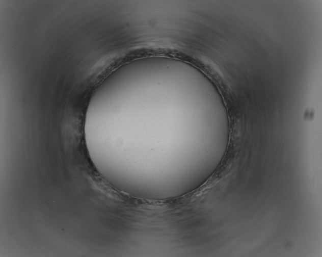 X0000089451110200707131921