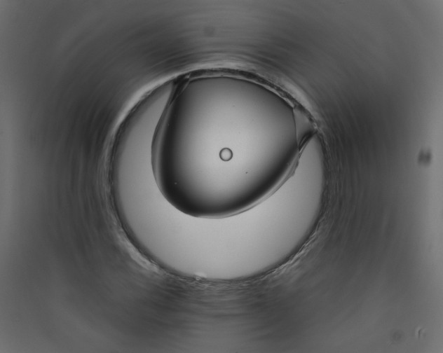 X0000089451116200707131921