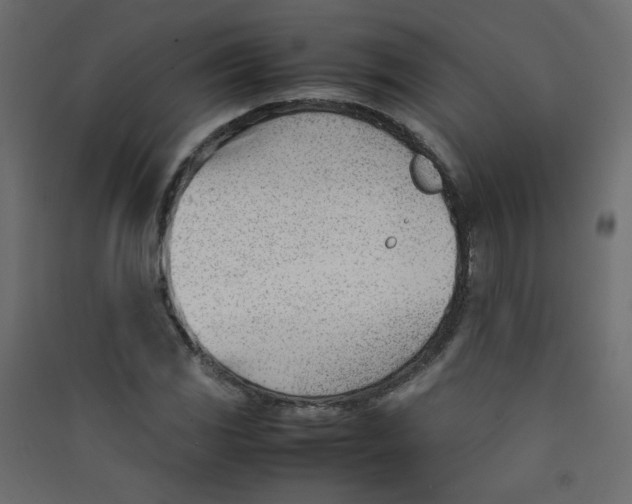 X0000089451117200707131921