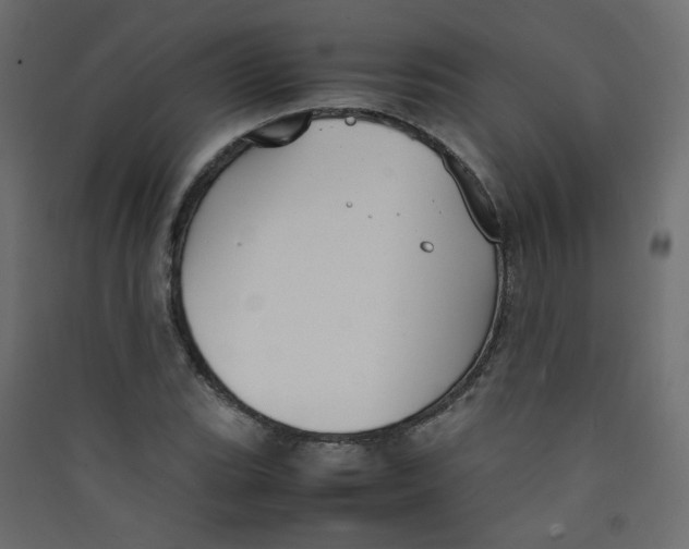 X0000089451119200707131921