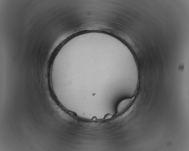 X0000089451122200707131921