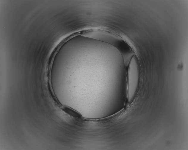 X0000089451124200707131921