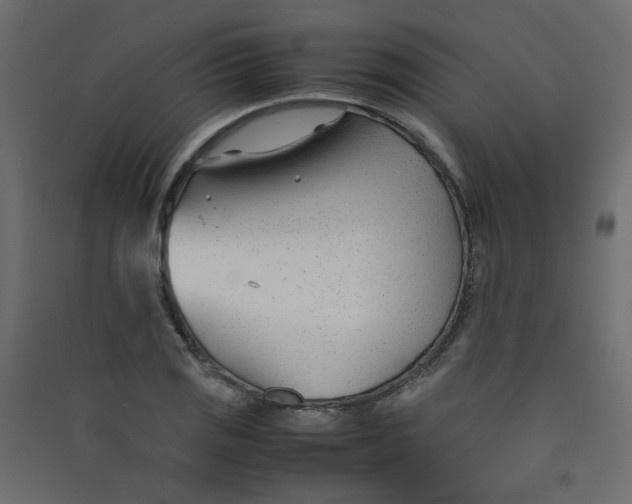 X0000089451125200707131921