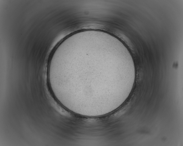 X0000089451130200707131921