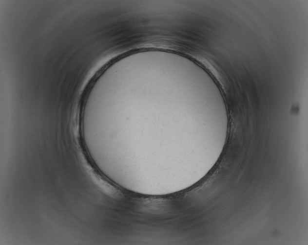 X0000089451131200707131921