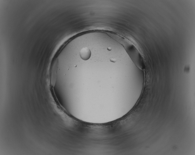 X0000089451132200707131921