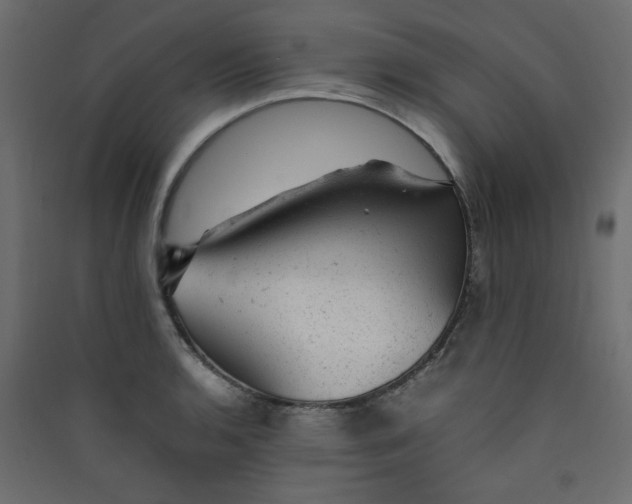 X0000089451136200707131921