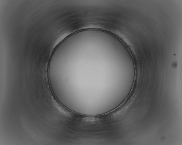 X0000089451137200707131921