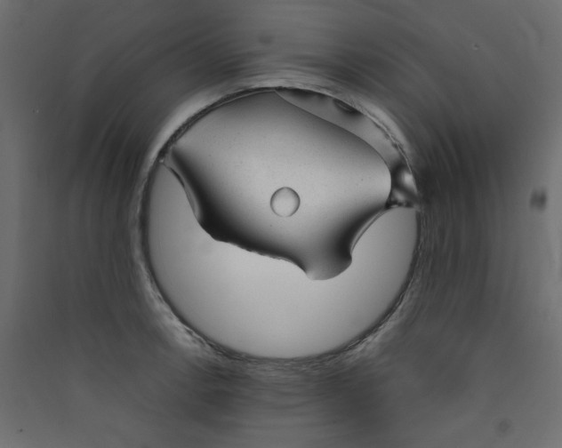 X0000089451138200707131921