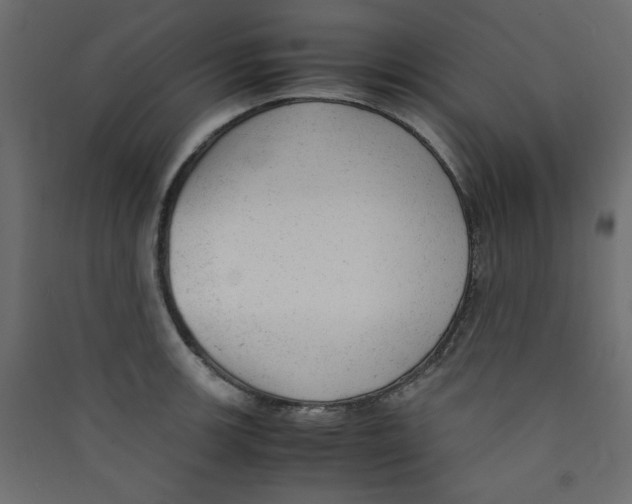 X0000089451139200707131921