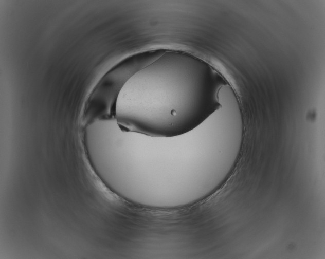 X0000089451140200707131921