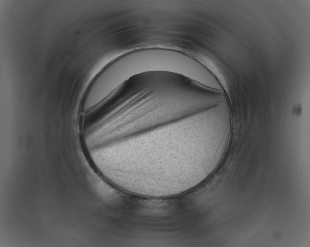 X0000089451141200707131921