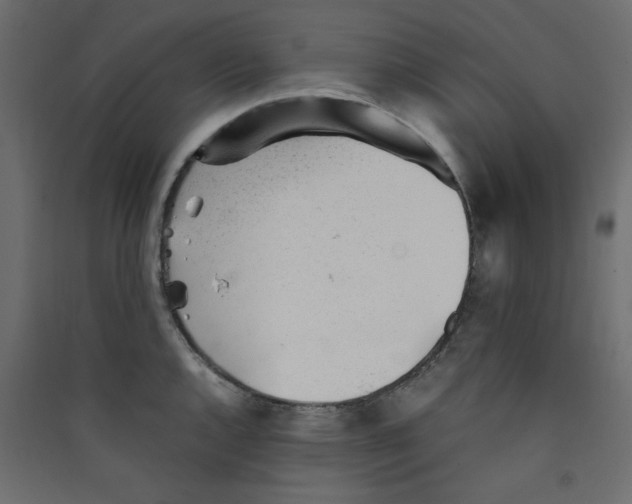 X0000089451144200707131921