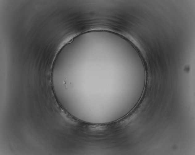 X0000089451145200707131921