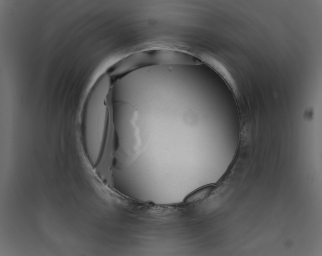 X0000089451146200707131921