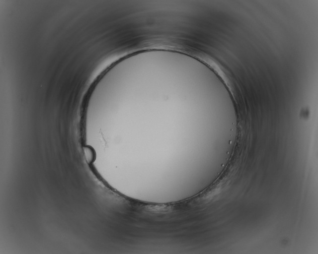 X0000089451147200707131921