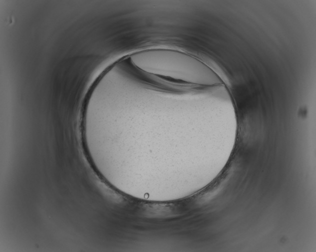 X0000089451149200707131921