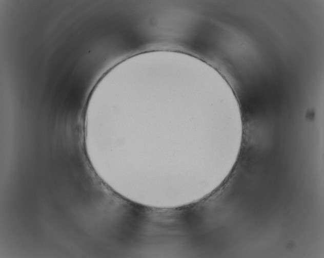 X0000089451150200707131921