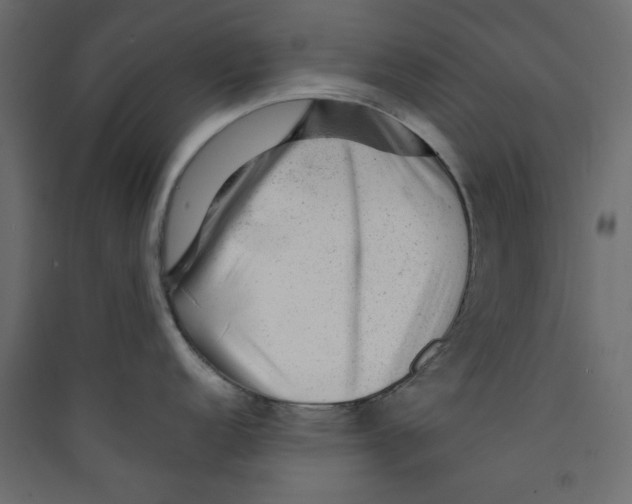 X0000089451152200707131921