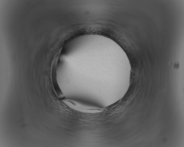 X0000089451153200707131921