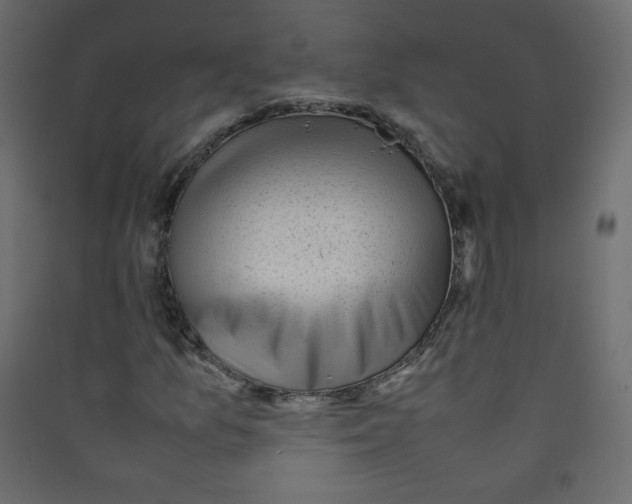 X0000089451157200707131921