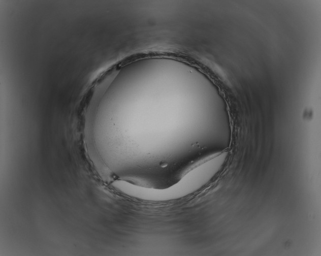 X0000089451160200707131921