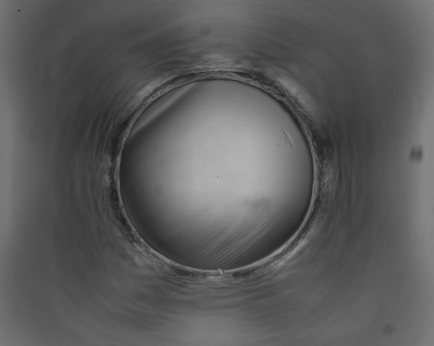 X0000089451161200707131921