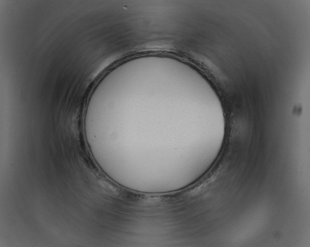 X0000089451162200707131921