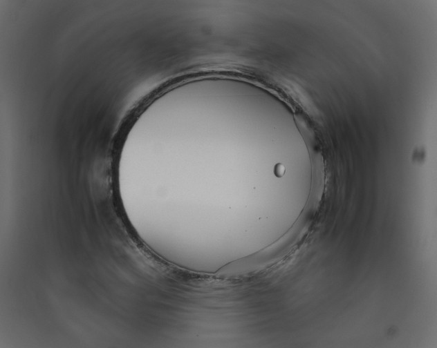 X0000089451164200707131921