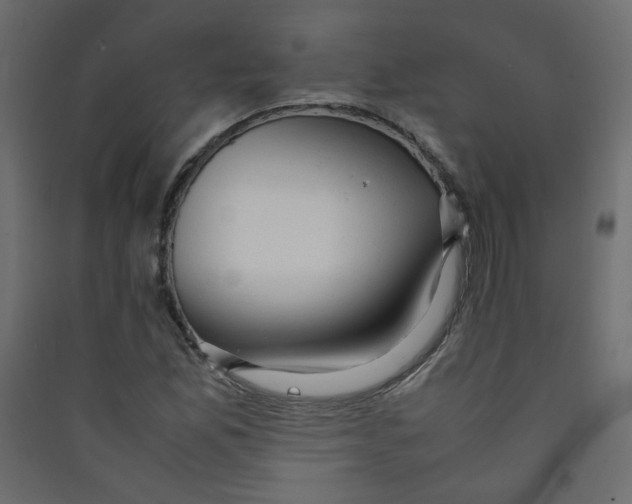 X0000089451165200707131921