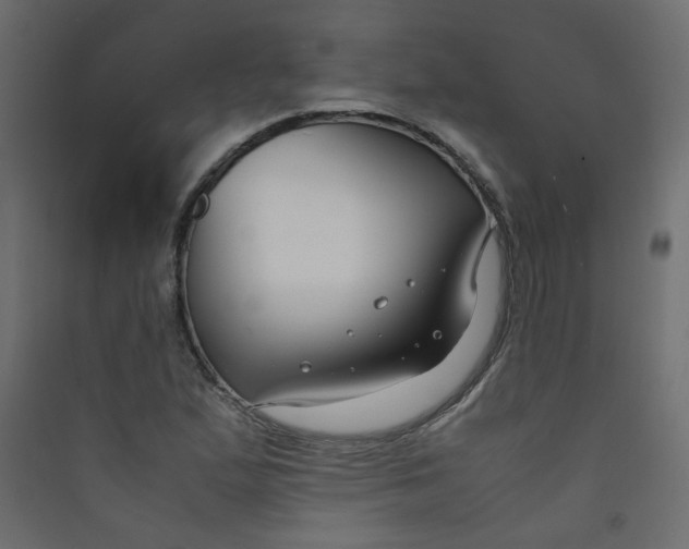 X0000089451167200707131921