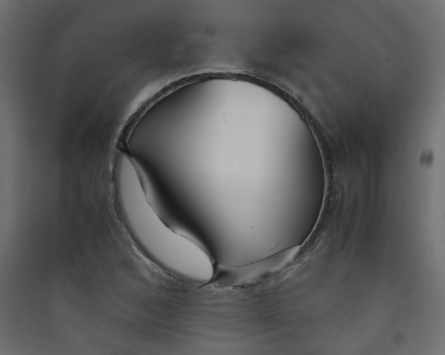 X0000089451168200707131921