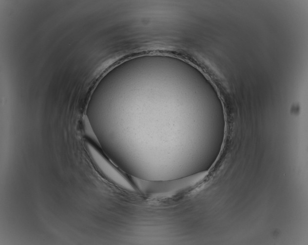 X0000089451169200707131921