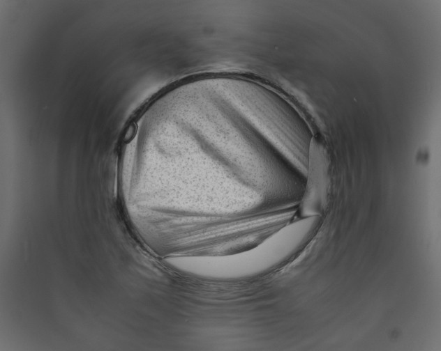 X0000089451171200707131921