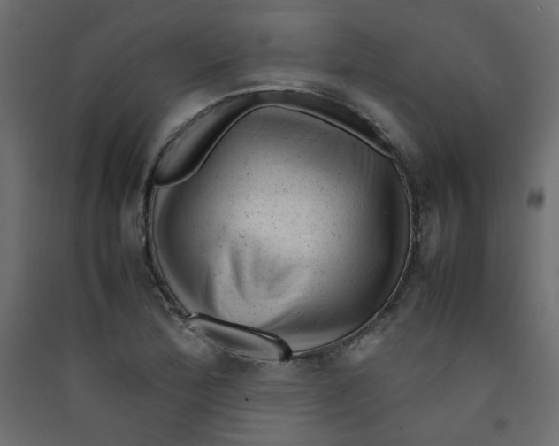 X0000089451172200707131921