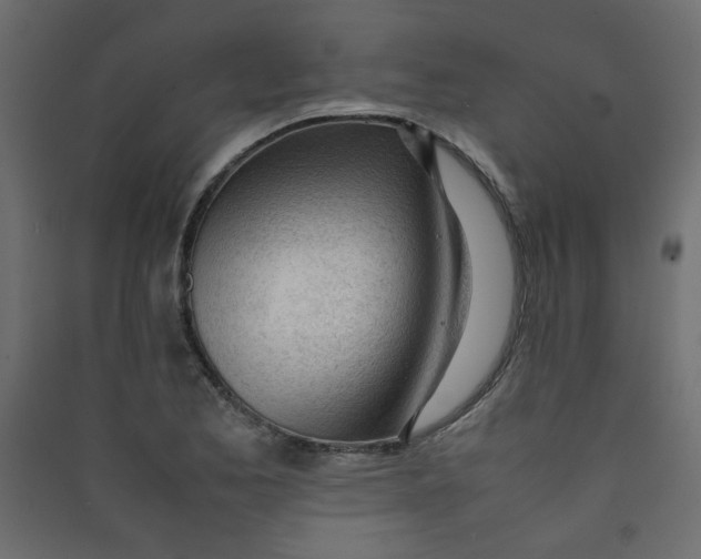 X0000089451173200707131921