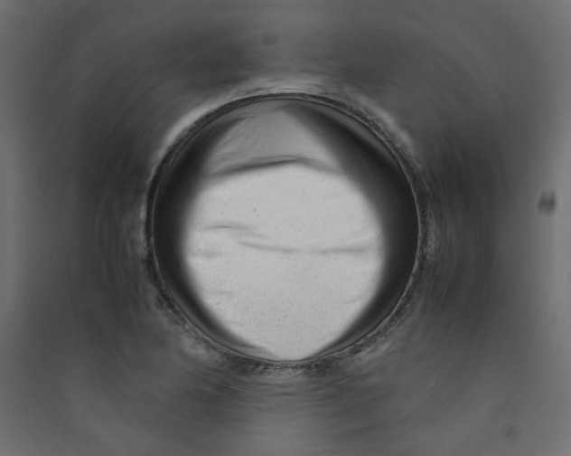 X0000089451174200707131921