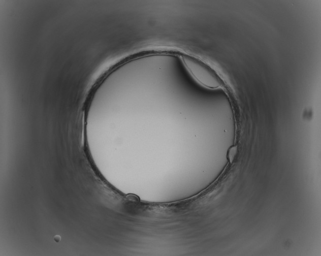 X0000089451175200707131921