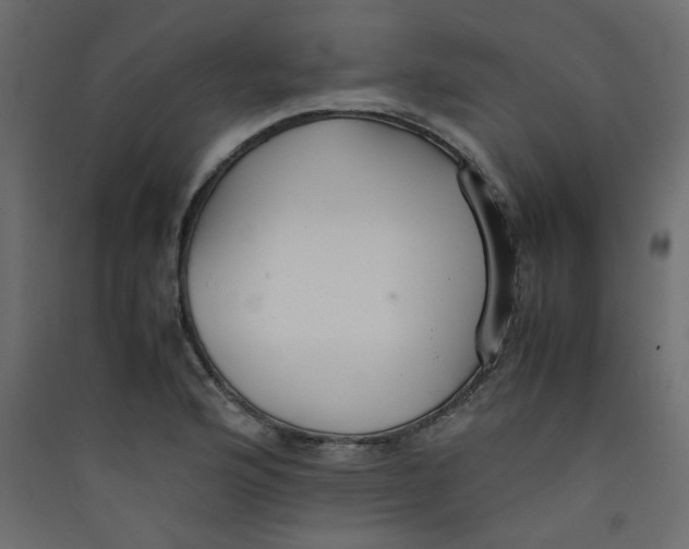 X0000089451176200707131921