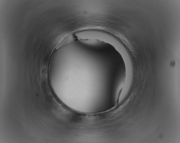 X0000089451177200707131921