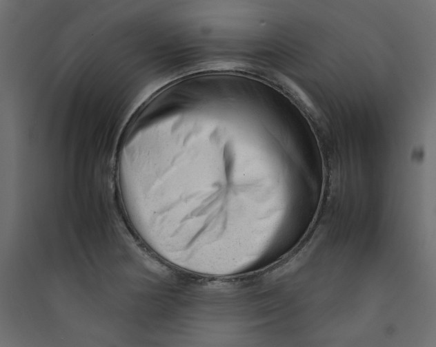 X0000089451178200707131921