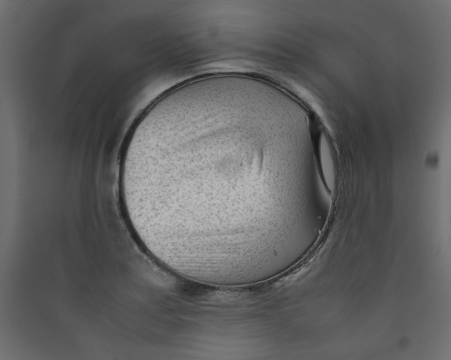 X0000089451179200707131921