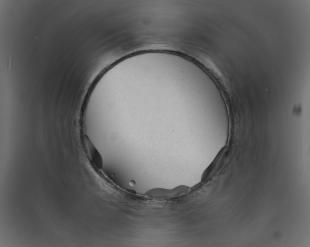 X0000089451181200707131921