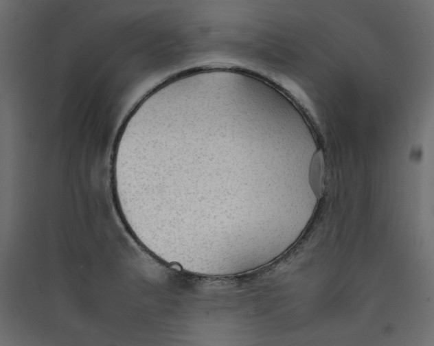 X0000089451183200707131921