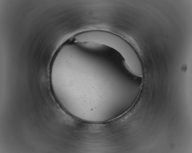 X0000089451184200707131920